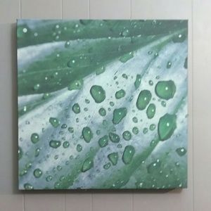 Wall Art Decor for home